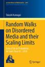 Random Walks On Disordered Media And Their Scaling Limits - Preview