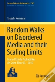 Capa do artigo Random Walks On Disordered Media And Their Scaling Limits