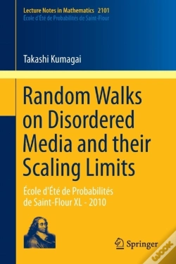Capa do artigo Random Walks On Disordered Media And Their Scaling Limits