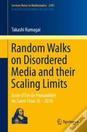 Capa do artigo Random Walks On Disordered Media And Their Scaling Limits