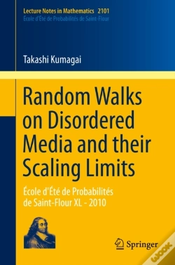 Capa do artigo Random Walks On Disordered Media And Their Scaling Limits