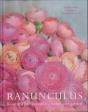 Ranunculus - Preview