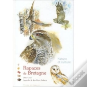 Rapaces De Bretagne