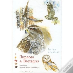 Capa do artigo Rapaces De Bretagne