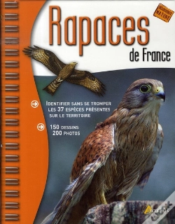 Capa do artigo Rapaces De France