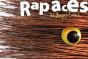 Rapaces En Aquitaine ; Des Activités Pour Découvrir Ces Drôles D'Oiseaux - Preview