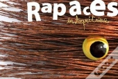 Rapaces En Aquitaine ; Des Activités Pour Découvrir Ces Drôles D'Oiseaux