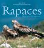 Rapaces - Preview