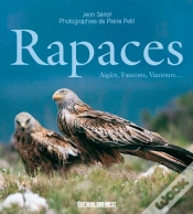 Capa do artigo Rapaces