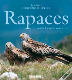 Capa do artigo Rapaces