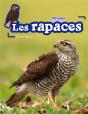 Rapaces (Les) - Preview