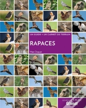 Capa do artigo Rapaces