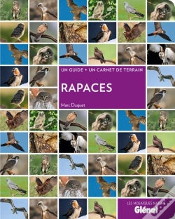 Capa do artigo Rapaces