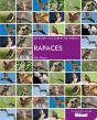 Rapaces - Preview