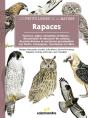 Rapaces - Preview