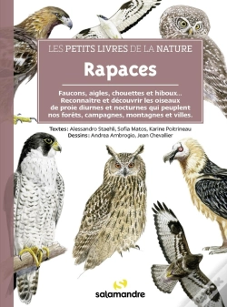 Capa do artigo Rapaces