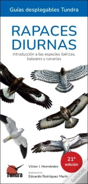 Capa do artigo Rapaces