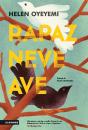 Rapaz, Neve, Ave - Preview