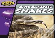 Rapid Phonics Step 3: Super Snakes (Non-Fiction)