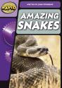 Rapid Phonics Step 3: Super Snakes (Non-Fiction) - Preview