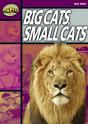 Rapid Reading: Big Cats Small Cats (Stage 1, Level 1a) - Preview