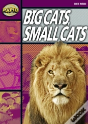 Capa do artigo Rapid Reading: Big Cats Small Cats (Stage 1, Level 1a)