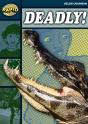 Rapid Reading: Deadly (Stage 6 Level 6b) - Preview