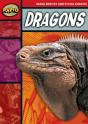 Rapid Reading: Dragons (Stage 2, Level 2b) - Preview