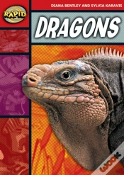 Capa do artigo Rapid Reading: Dragons (Stage 2, Level 2b)
