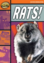Capa do artigo Rapid Reading: Rats! (Stage 4, Level 4b)