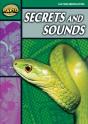 Rapid Reading: Secrets & Sounds (Stage 5, Level 5b) - Preview