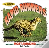 Rapid Runners