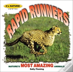 Capa do artigo Rapid Runners
