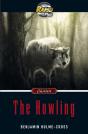 Rapidplus 9.1 The Howling - Preview