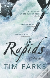 Capa do artigo Rapids
