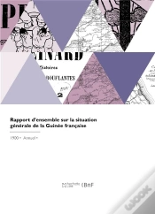Capa do artigo Rapport D