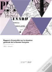 Capa do artigo Rapport D