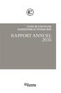 Rapport Public Annuel 2016 - Preview