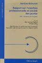 Rapport Sur L'Insertion Professionnelle Et Sociale Des Jeunes - Preview