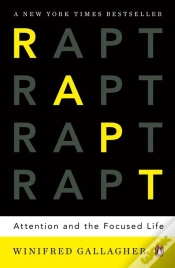 Capa do artigo Rapt