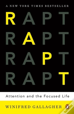 Capa do artigo Rapt