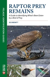 Capa do artigo Raptor Prey Remains