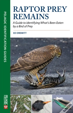 Capa do artigo Raptor Prey Remains