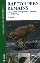 Raptor Prey Remains