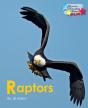 Raptors - Preview