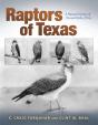 Raptors Of Texas - Preview
