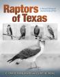 Raptors Of Texas - Preview
