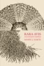 Rara Avis - Preview