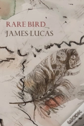 Rare Bird