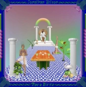 Capa do artigo Rare Birds - CD